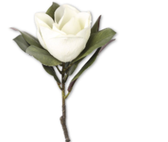 [15037A-WH] Magnolia Blanco 17"