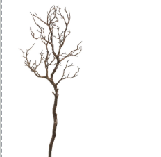 Tronco Manzanita Cafe 38"