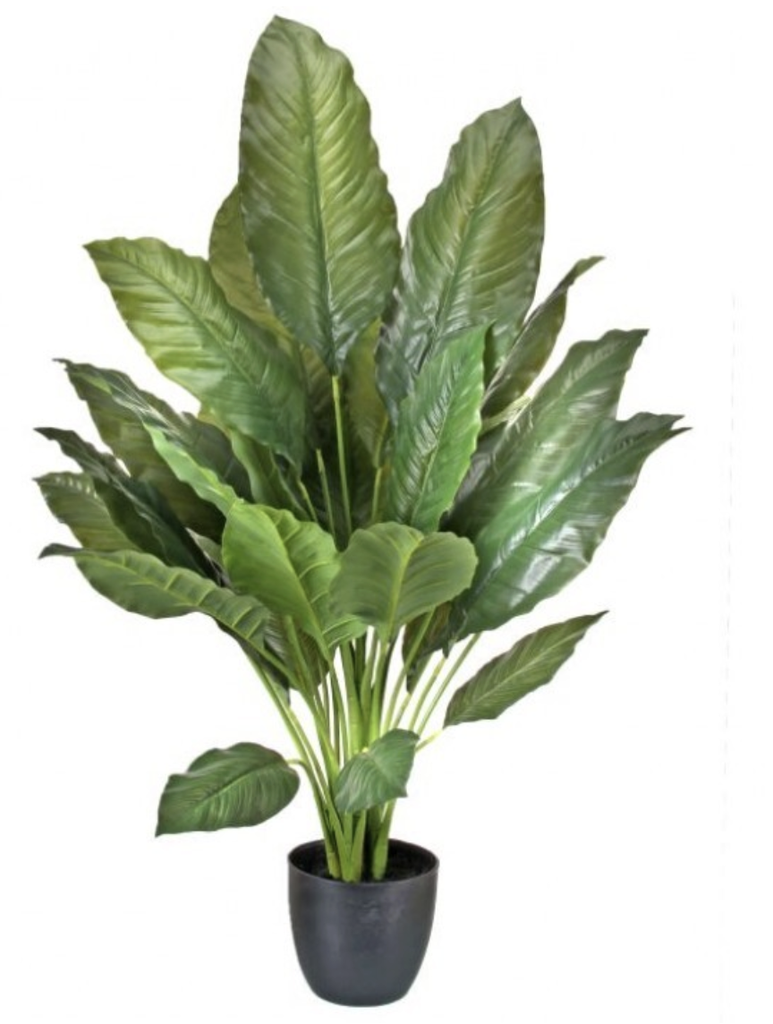 Cuna De Moises 34"