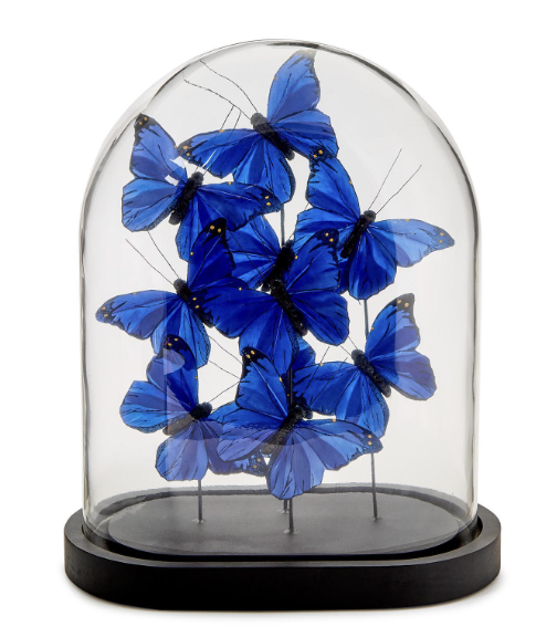 Domo Mariposa Azul