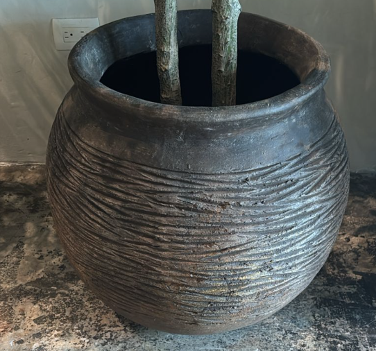 Maceta Ciruela 