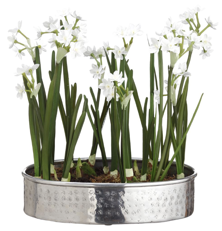 ARREGLO FLORAR PAPERWHITE 17.5´