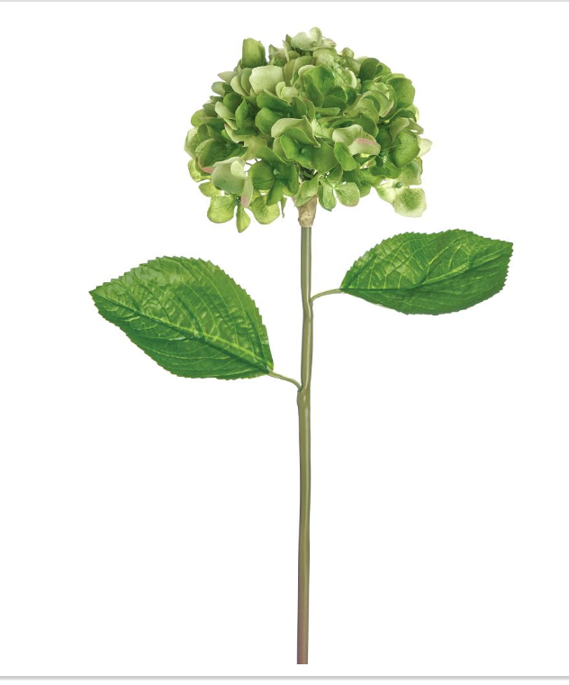 Hortensia verde 21.5"