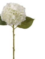 HORTENSIA BLANCO 18.5"