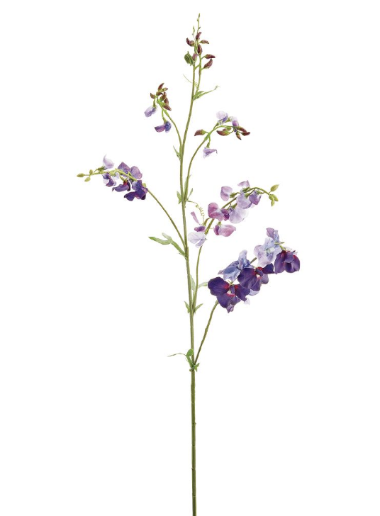 Vara Sweetpea 38.5"