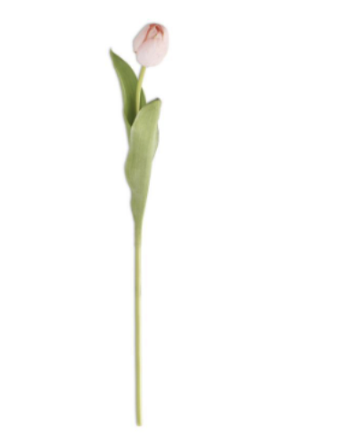 Tulipan Rosa 26.75"