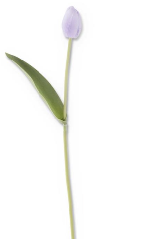 Tulipan Lila 26.75"
