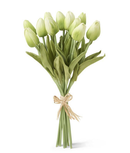 [11399B-GR] Tulipan Verde Ramo 12 13"