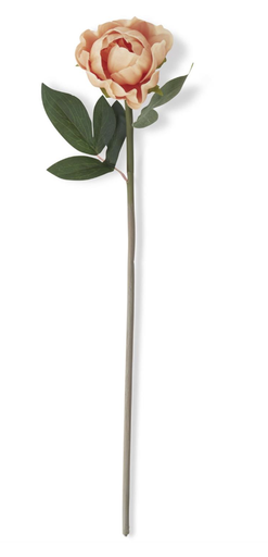 [12496A-PH] Peonia Durazno 20"