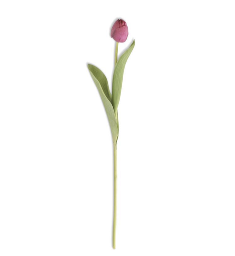 [15452A-FU] Tulipan Fucsia 26.75"