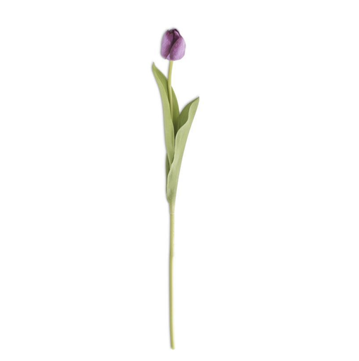 [15452A-PU] Tulipan Morado 26.75"