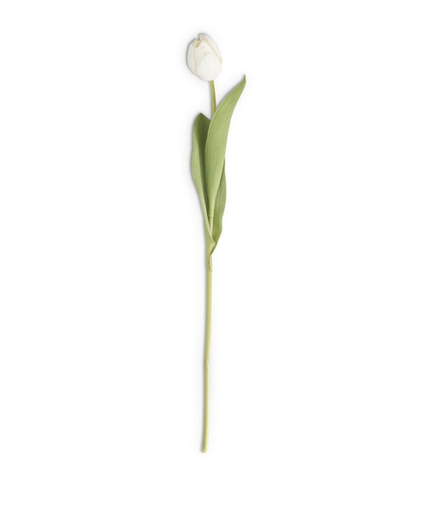 [15452A-WH] Tulipan Blanco 26.75"