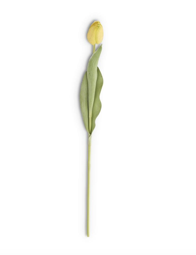 [15452A-YE] Tulipan Amarillo 26.75"