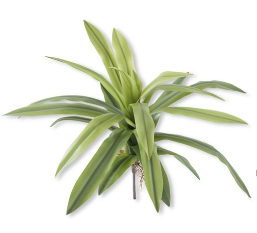 [17875A] Vara Agave 24"