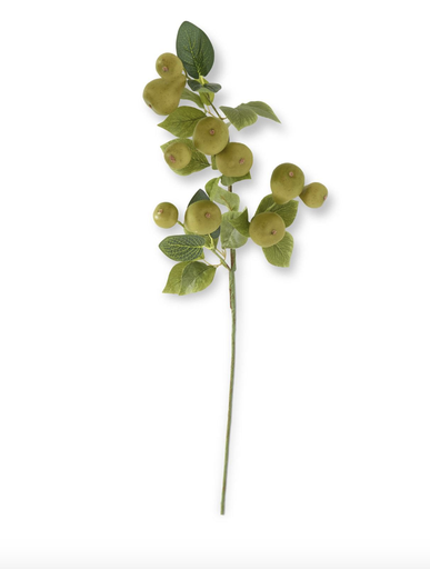 [18300A] Vara Pera Verde 31"
