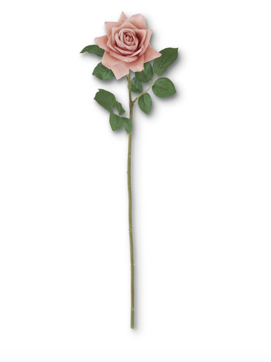 [18379A-CO] Rosa Coral 25"