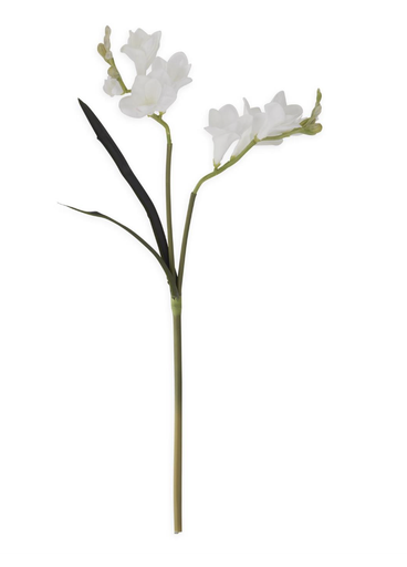 [19442A-WH] Fresia Blanco 21"