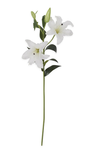 [19444B-WH] Lily Blanco 35"