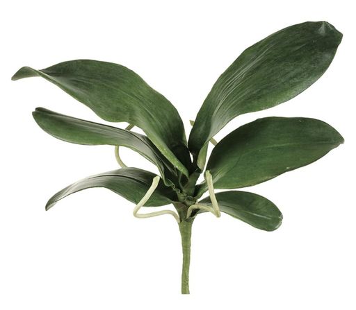 [JYL125-GR] Hoja Phalaenopsis 15"
