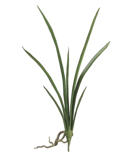 [HSL393-GR] Hoja Cymbidium 20"