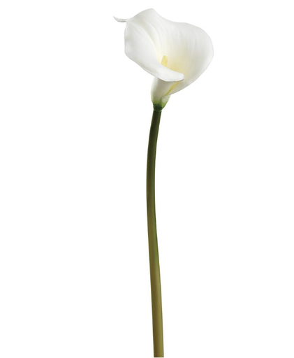 [FSC263-WH] Calla lily 28"