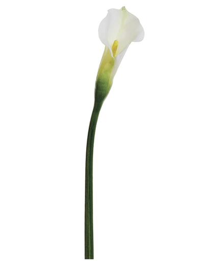 [FSC835-WH/GR] Calla Lily Blanco  31.5"