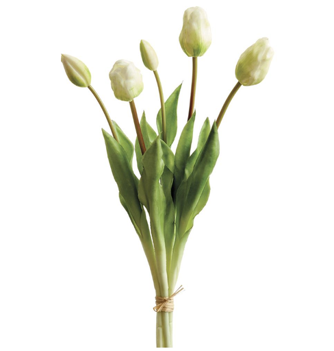 [FST316-CR] Ramo Tulipan Crema X5 18"