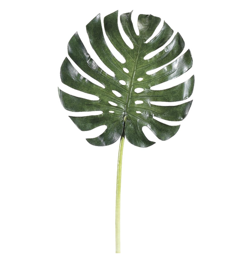 [HSL452-GR] Hoja  Monstera 34"