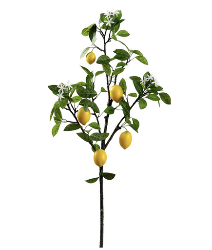 [VSL045-YE] Vara Limon Amarillo 48"