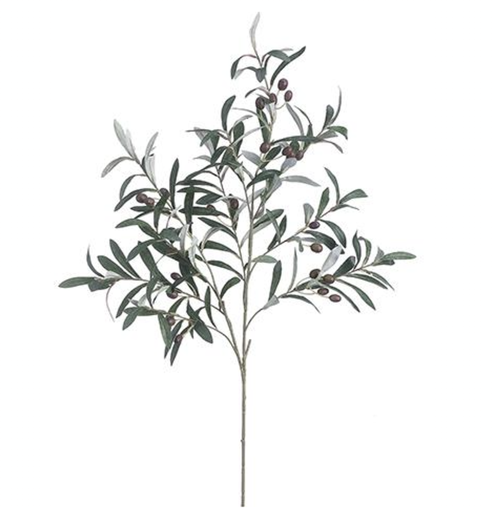 [VSO229-GR/PL] Vara Olivo 39"
