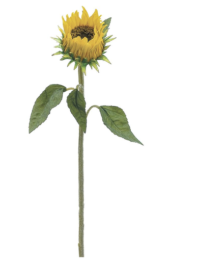 [FSS224-YE] Girasol Amarillo 24.5"