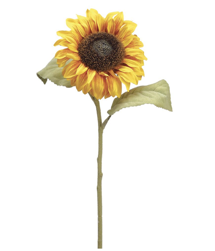 [FSS115-YE/GO] Girasol Amarillo Oro 25"