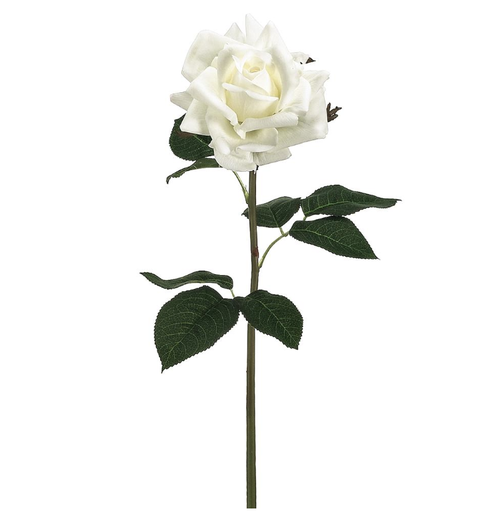 [FSR422-WH] Rosa Blanco 20.5"