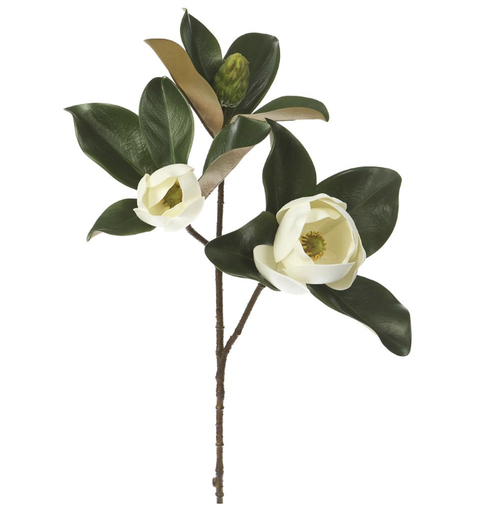 [FSM228-WH] Magnolia Blanco 28"