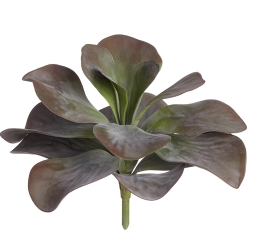 [CPK842-PU/GR] Kalanchoe Morado 11"