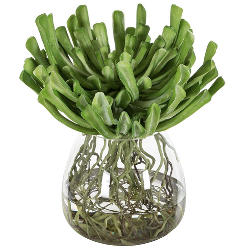 [WP0730-GR] Jarron Vidrio Agua Artificial Echeveria 13"