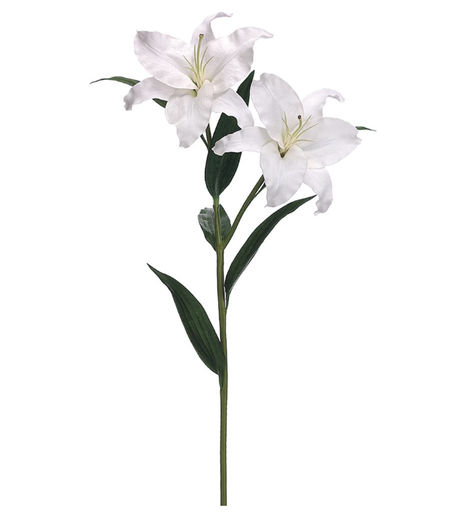 [HSL154-WH] Casa Blanca Blanco 36"