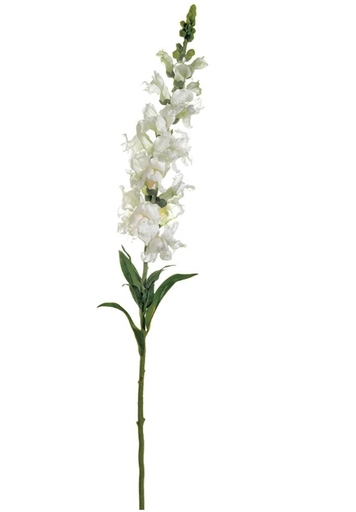 [FSS337-CR] Dragonaria Blanco 37"