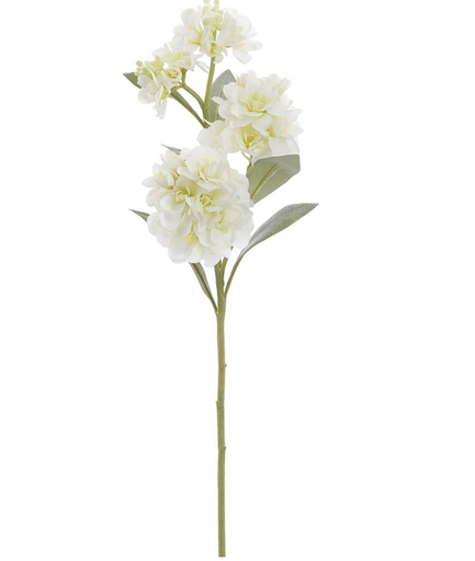 [FSS627-GR/TT] Flor Blanco