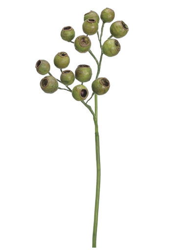 [FSP022-GR] Vara Eucalipto 19"