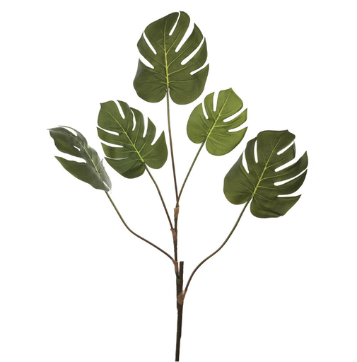 [PSM778-GR] Vara Monstera 42"