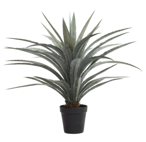[LPA133-GR/GY] Agave 48"