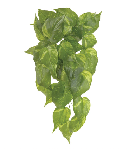 [PBP820-GR/TT] Julieta 16"