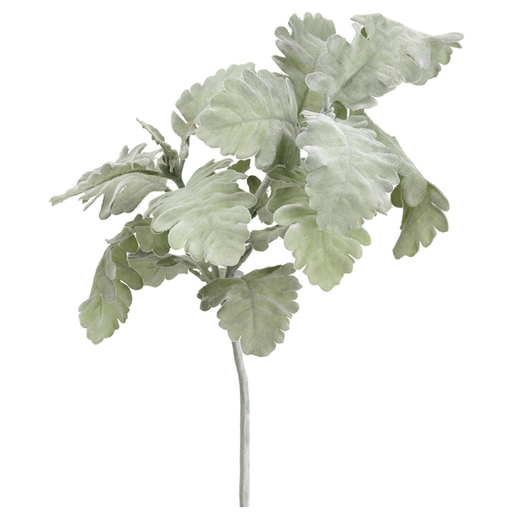 [PSD202-GR/GY] Vara Dusty Miller 19"