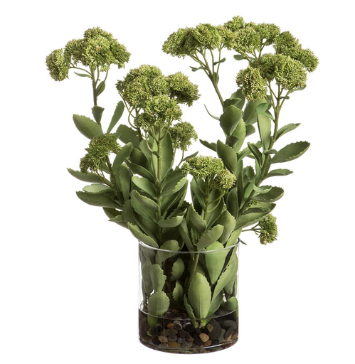 [WF9529-GR/BU] Jarrón Vidrio Agua Artificial Rocas Sedum 25H 16W 20L