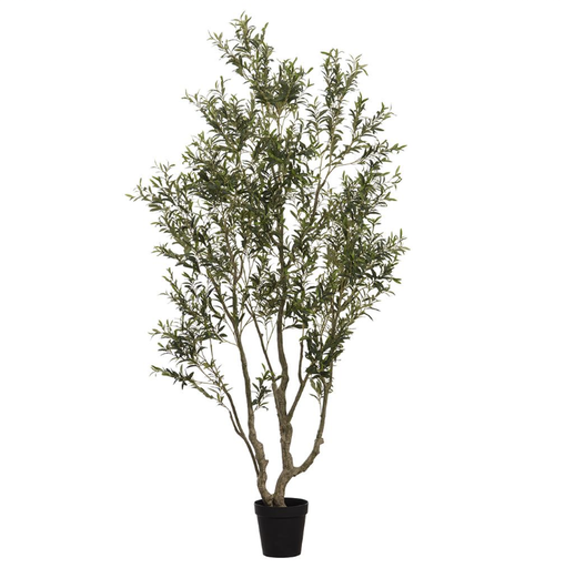 [LTO743-GR] Olivo 102"