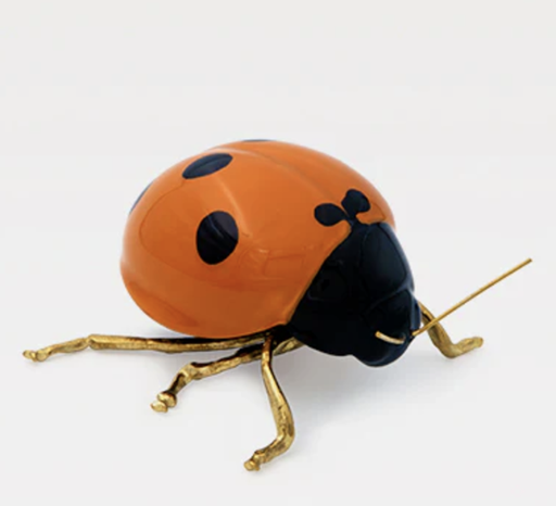 [LE031LPD] Catarina Naranja