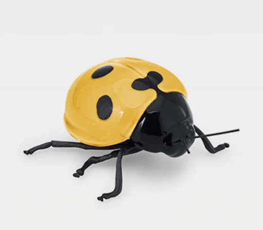 [LE031AMPO] Catarina Amarillo