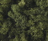 [29960.05] Musgo Verde