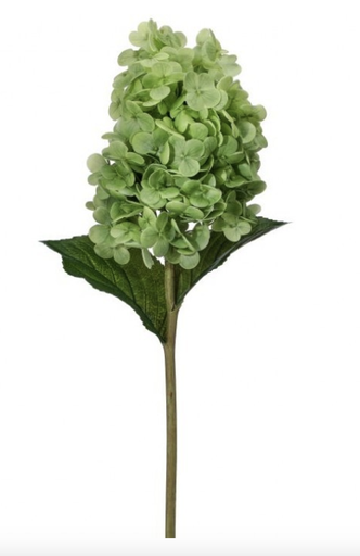 [MTF24423] Hortensia Cono Verde 29"